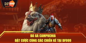 Đá Gà Campuchia - Đặt Cược Cùng Các Chiến Kê Tại DF999