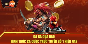 Đá Gà Cựa Dao - Hình Thức Cá Cược Trực Tuyến Số 1 Hiện Nay